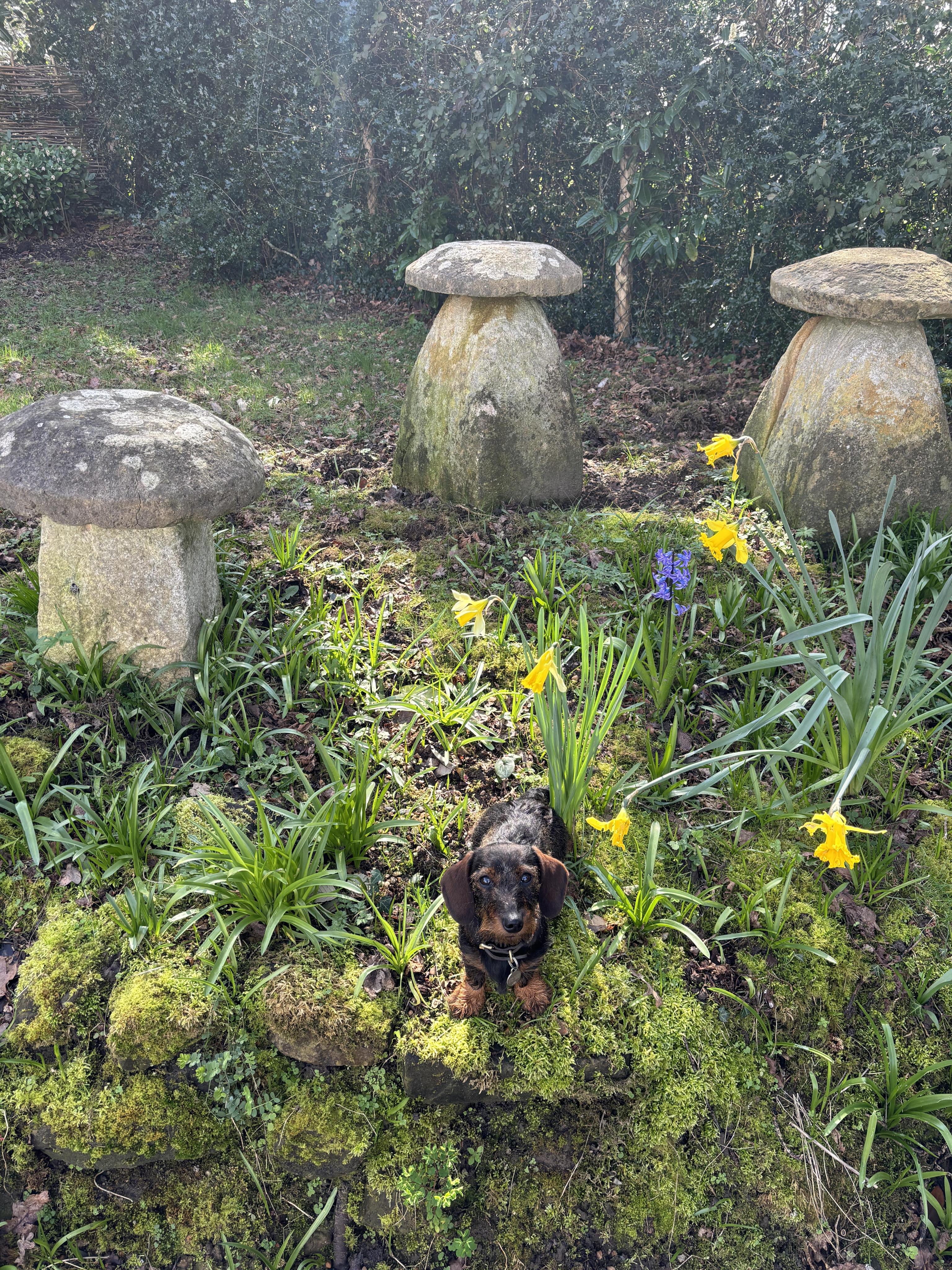 A group of three assorted staddle stones